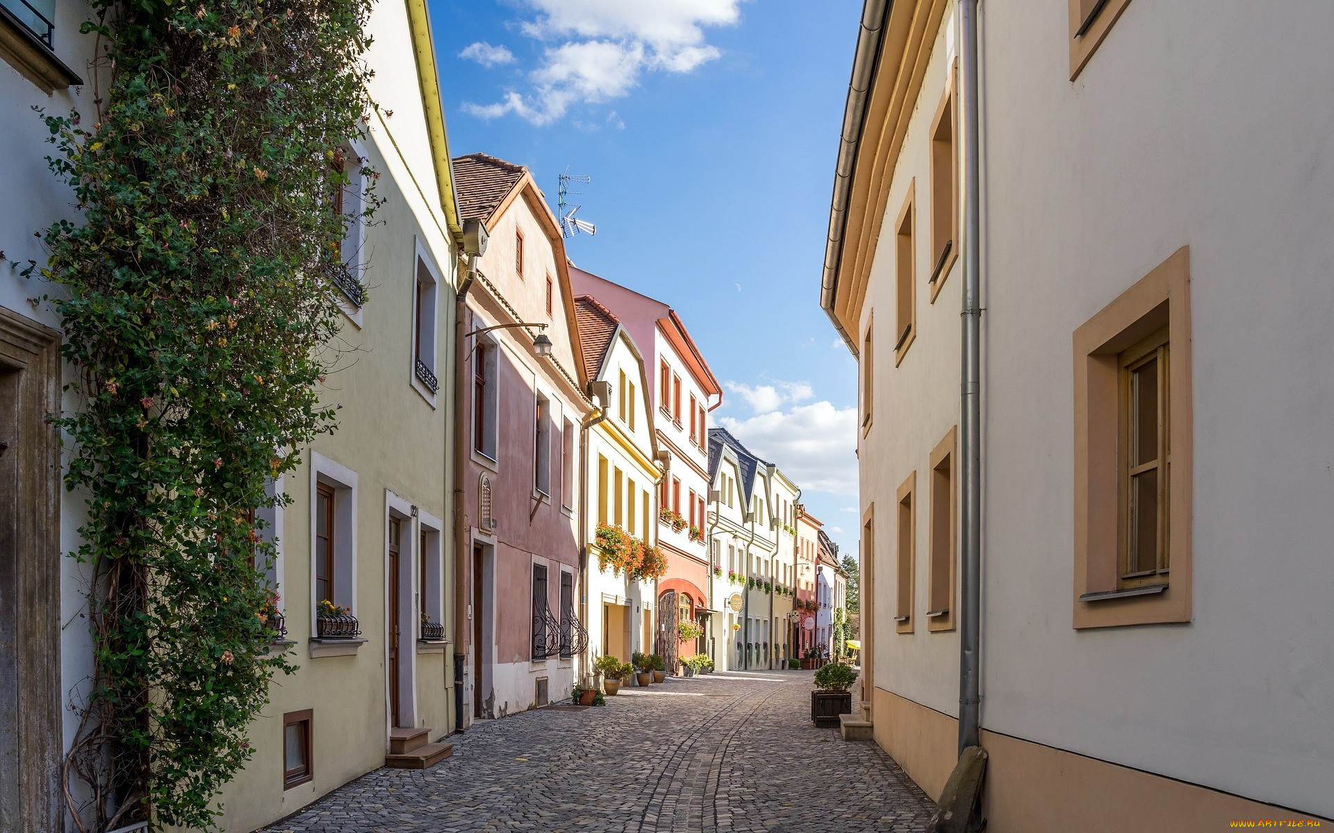 olomouc, moravia, czechia, , - ,  ,  
